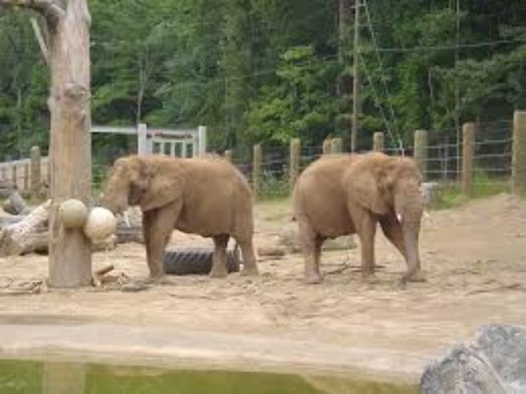 Seneca Park Zoo Trip Packages