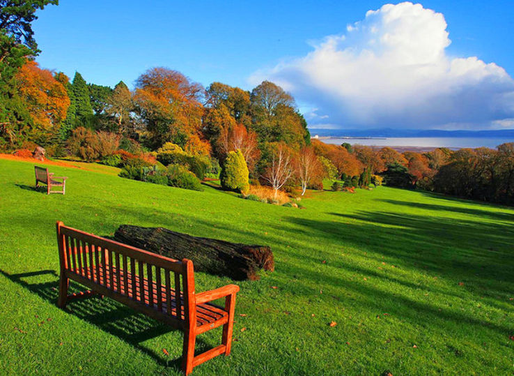 The Clyne Gardens Trip Packages