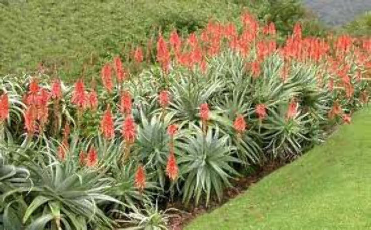 Wrigley Botanical Garden Trip Packages