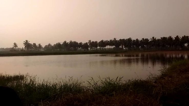 Jeella Cheruvu  Trip Packages