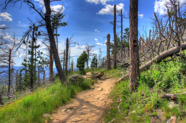 Custer State Park Trip Packages