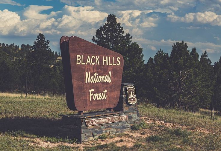 Black Hills National Forest Trip Packages