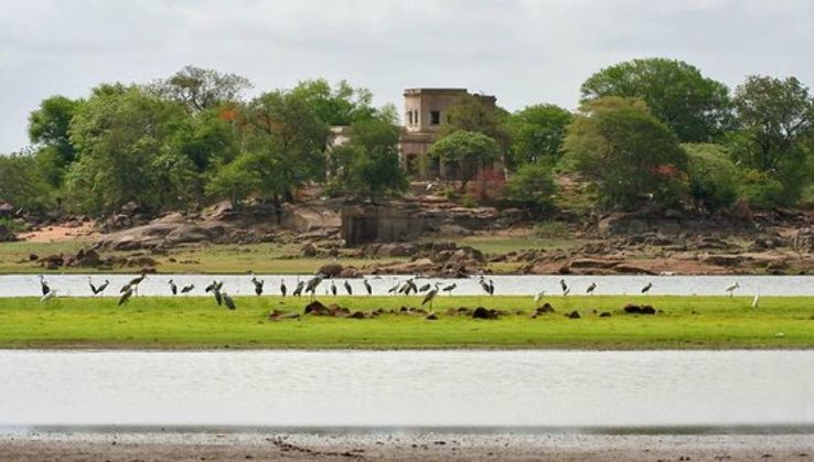 Pocharam Sanctuary Trip Packages Pocharam Sanctuary Trip Packages