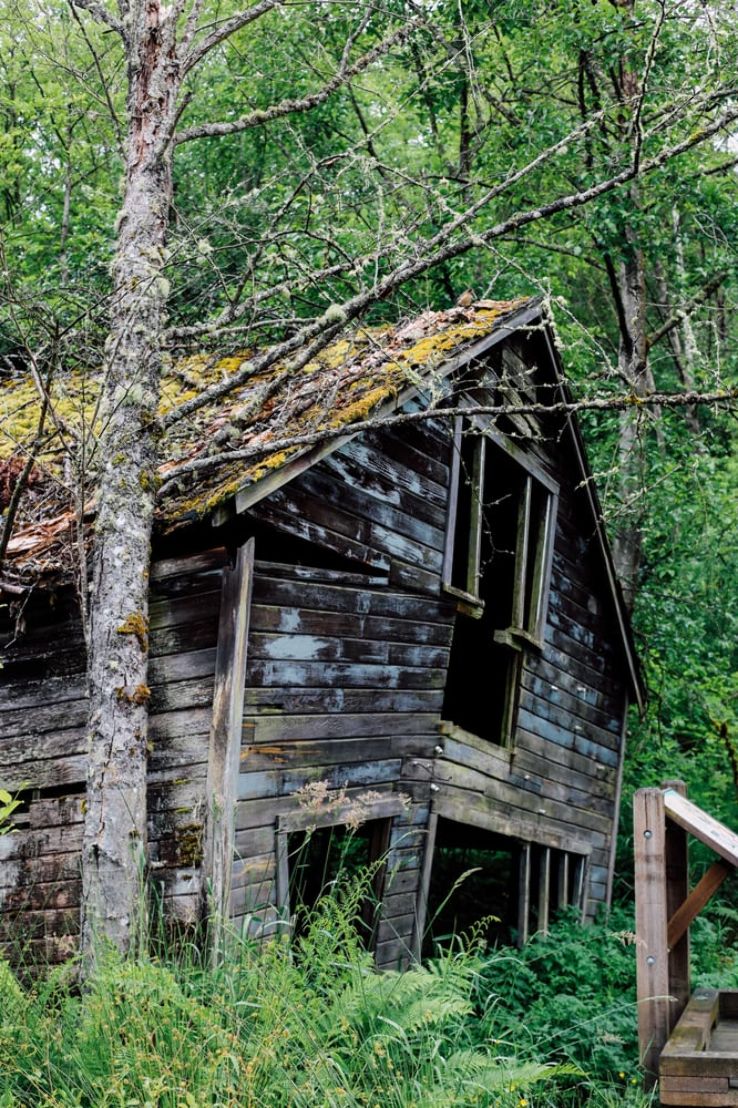 Mercer Slough Nature Park Trip Packages