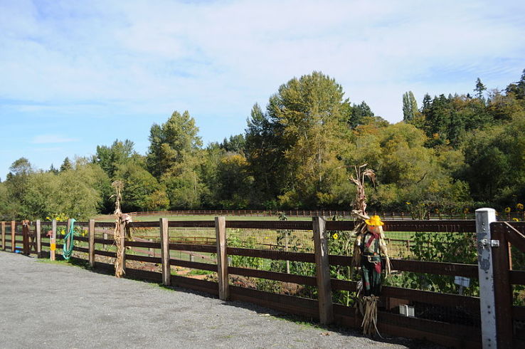 Kelsey Creek Park and Farm Trip Packages