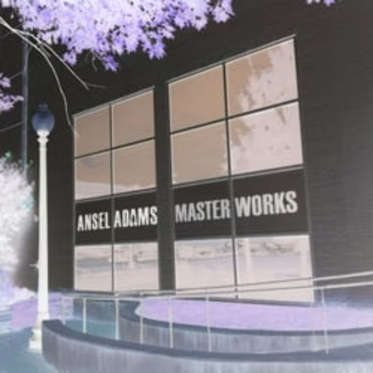 Arlington Museum of Art Trip Packages