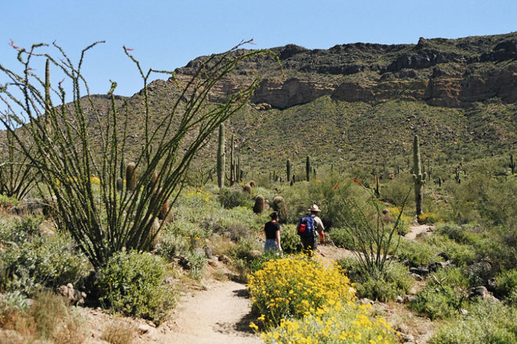 Usery Mountain Regional Park Trip Packages