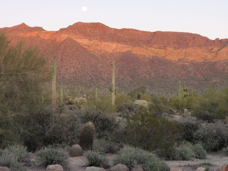 Usery Mountain Regional Park Trip Packages