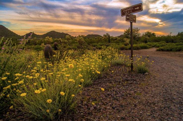 Usery Mountain Regional Park Trip Packages