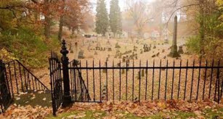 Mount Hope Cemetery Trip Packages