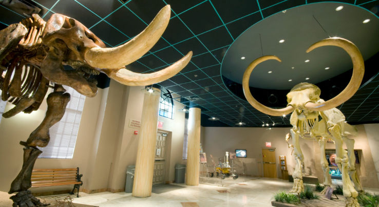 Arizona Museum of Natural History 2021, #3 top things to do in mesa, arizona, reviews, best time ...