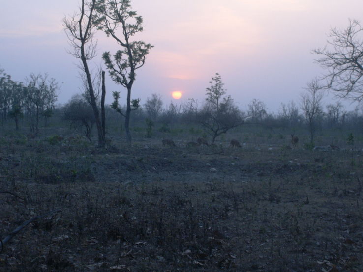 Rajaji National Park  Trip Packages