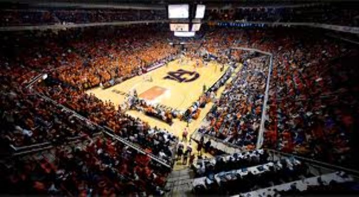 Basketball At The Auburn Arena Trip Packages