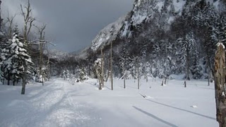 Jack Rabbit Trail Trip Packages