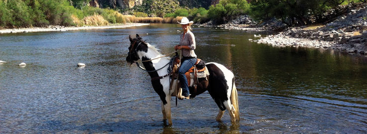 Saguaro Lake Ranch Stables Trip Packages