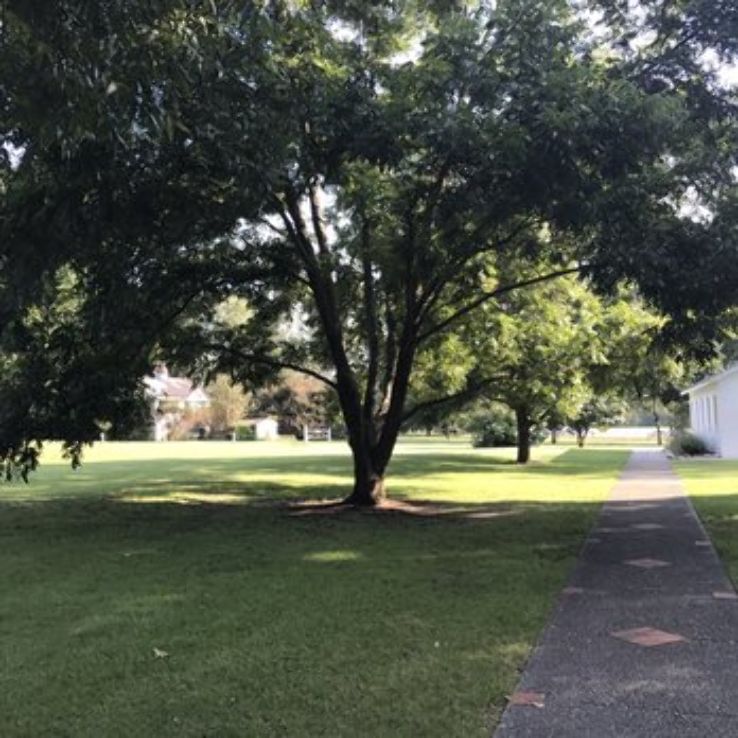 Kiesel Park Trip Packages