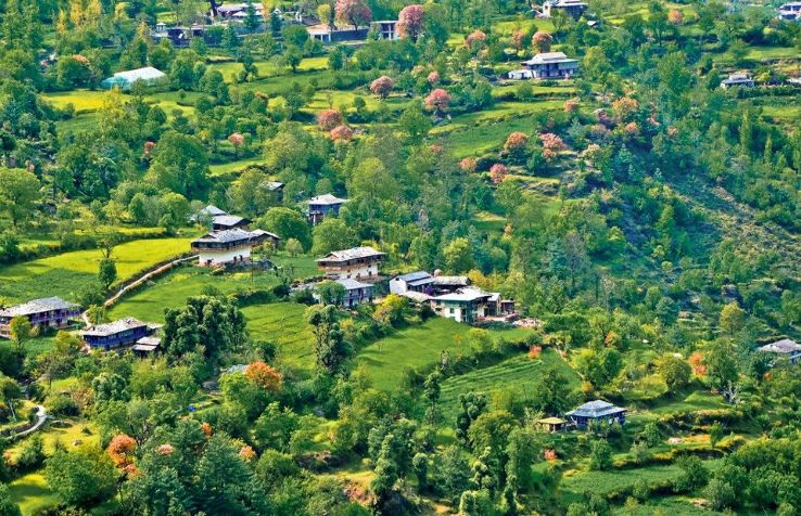 Kangra Valley Trip Packages