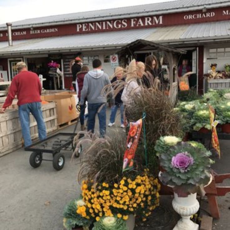 Farmers Market Trip Packages