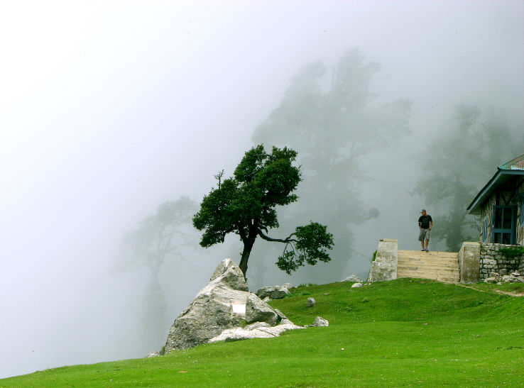 Triund Hill  Trip Packages