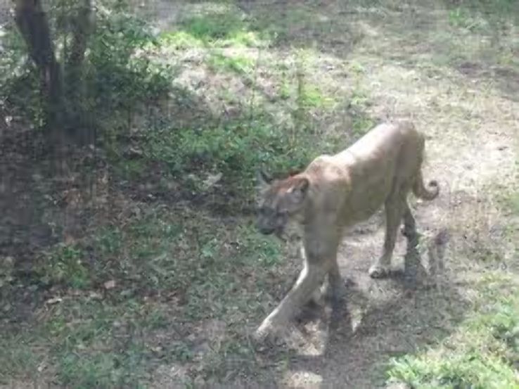 Jacksonville Zoo  Trip Packages