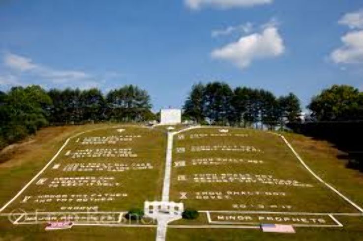 Wood nature park Trip Packages