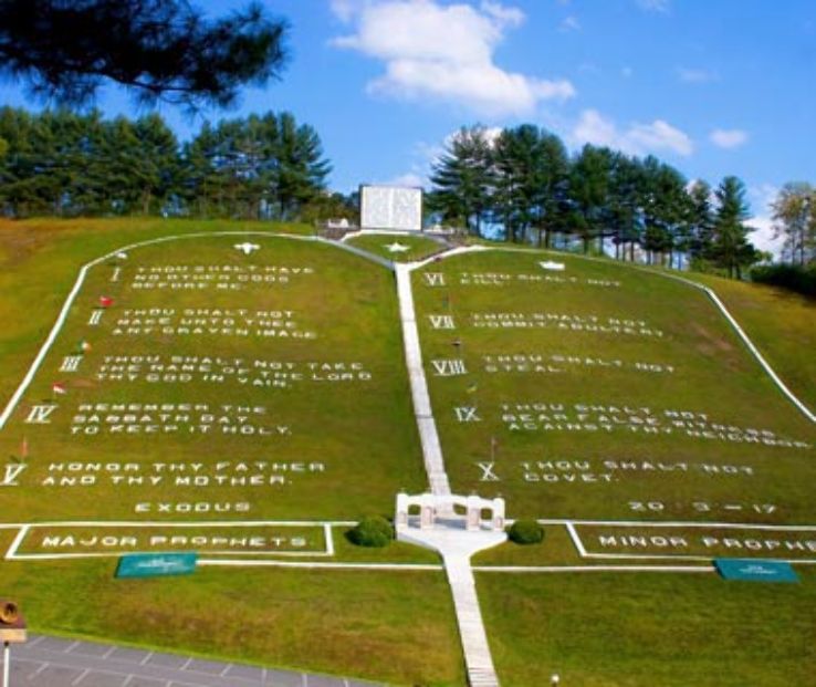 Wood nature park Trip Packages