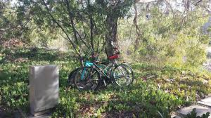 Bike Irvine Trip Packages