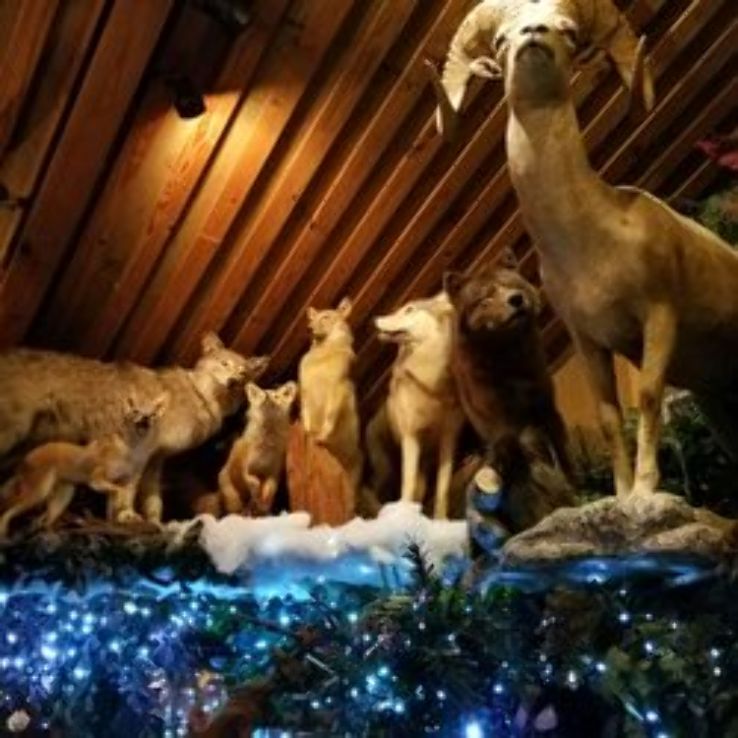 Clarks Fish Camp Trip Packages