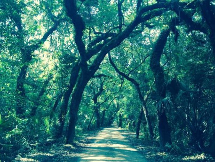 Timucuan Ecological and Historic Preserve Trip Packages