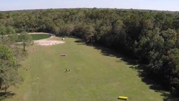 Dog Wood Park Trip Packages