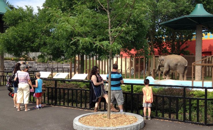 Rosamond Gifford Zoo Trip Packages