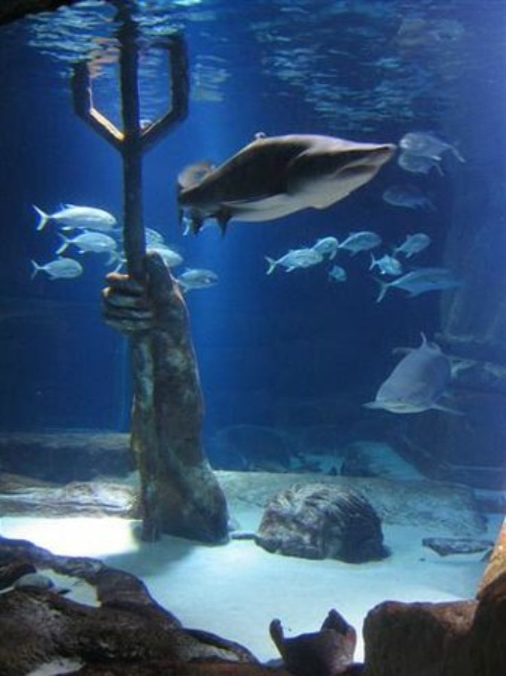 Aquarium and Exhibition Center Trip Packages