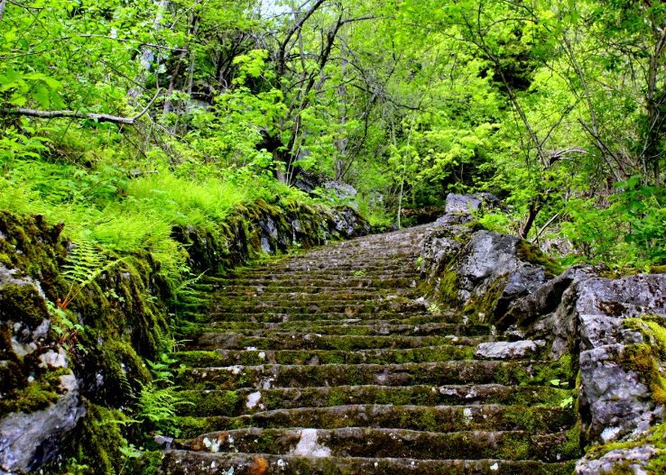 Clark Reservation State Park Trip Packages