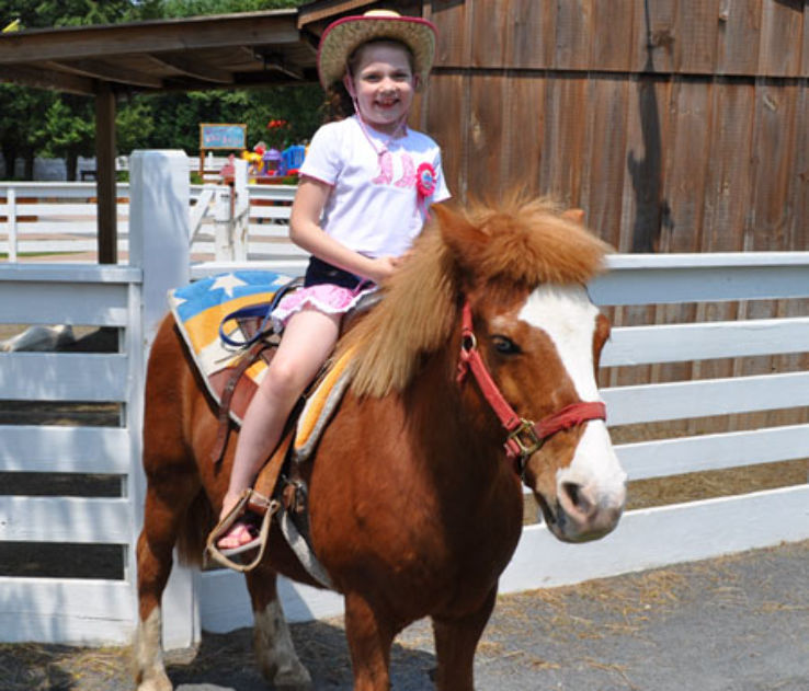 White Post Farm Trip Packages