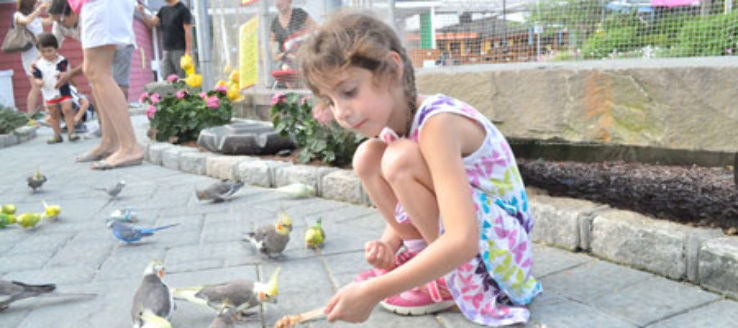 White Post Farm Trip Packages