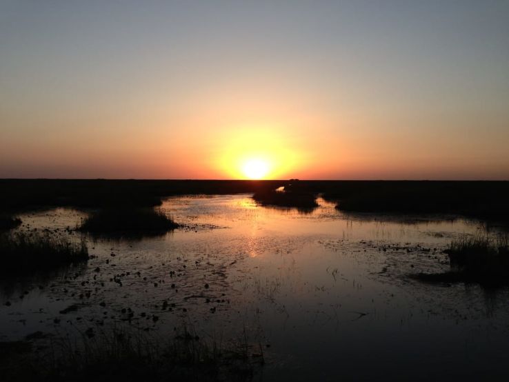 West Palm Beach Airboat Rides Trip Packages