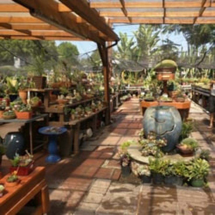 California Cactus Center Trip Packages