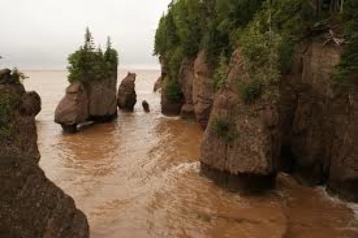 Hopewell Rocks  Trip Packages