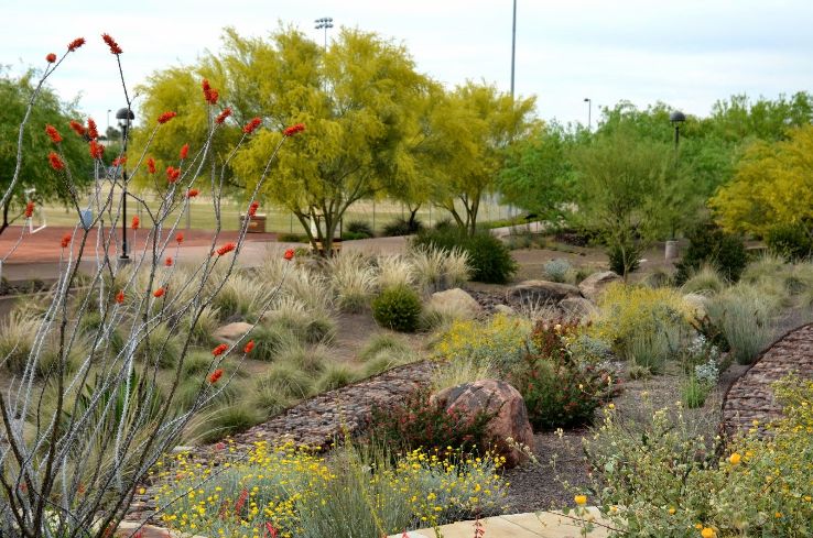 The Scottsdale Xeriscape Garden Trip Packages