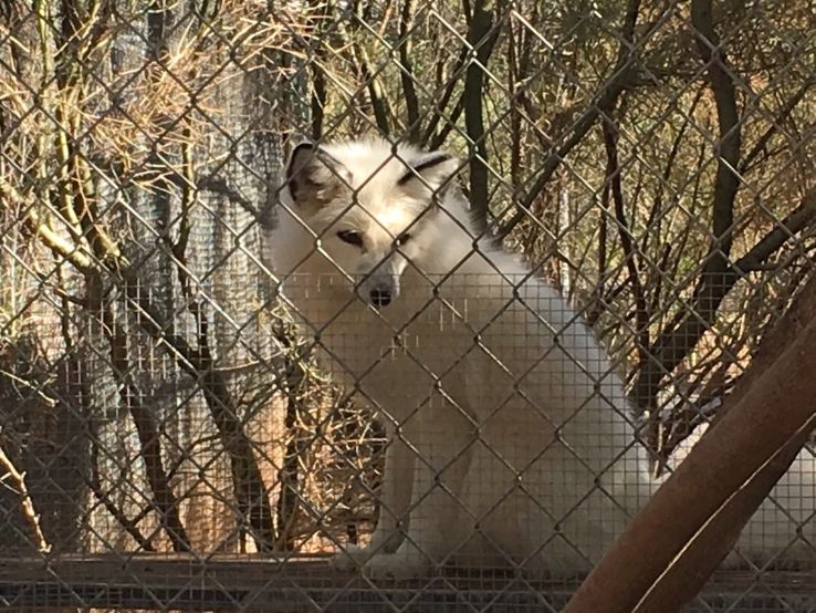 Southwest Wildlife Conservation Center Trip Packages