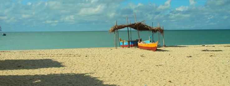 Dhanushkodi Trip Packages