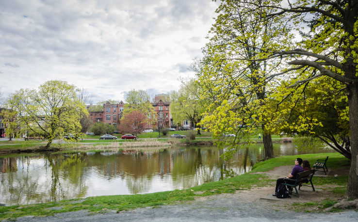 Washington Park Trip Packages