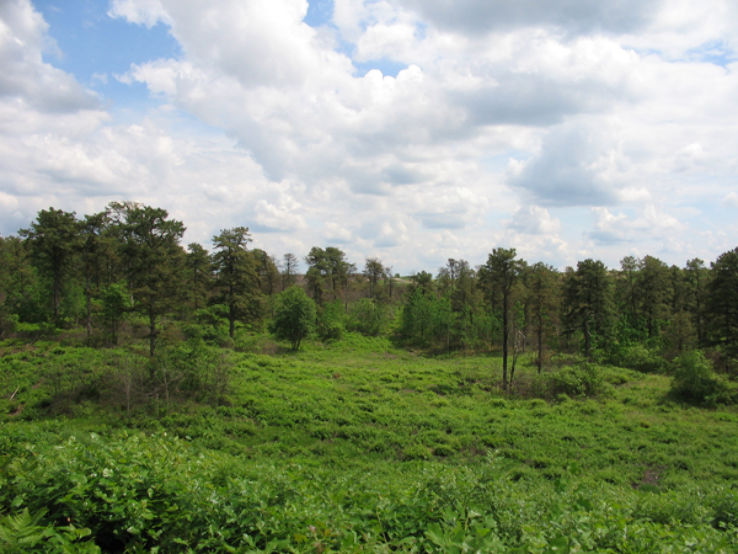 Albany Pine Bush Preserve  Trip Packages