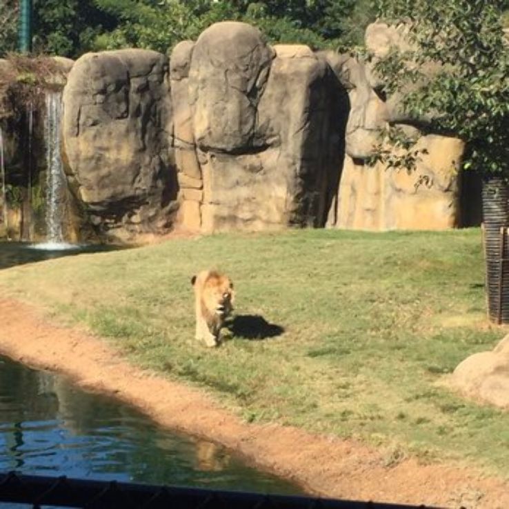 Montgomery Zoo Trip Packages