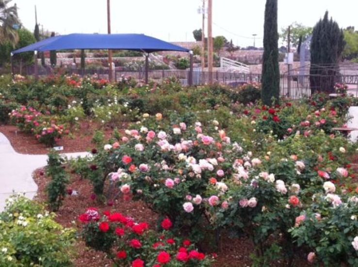 Municipal Rose Garden Trip Packages