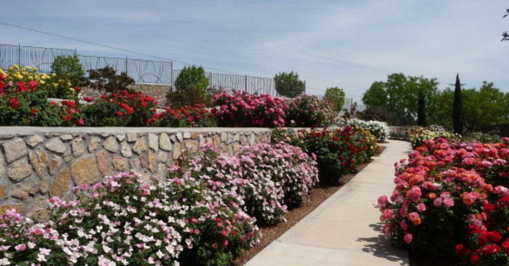 Municipal Rose Garden Trip Packages