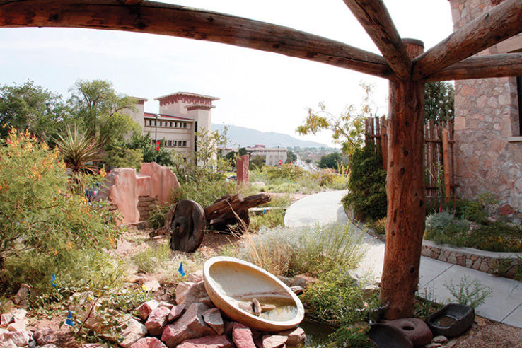 UTEP Centennial Museum and Chihuahuan Desert Gardens Trip Packages