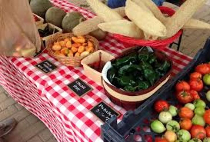 Downtown Art & Farmers Market Trip Packages