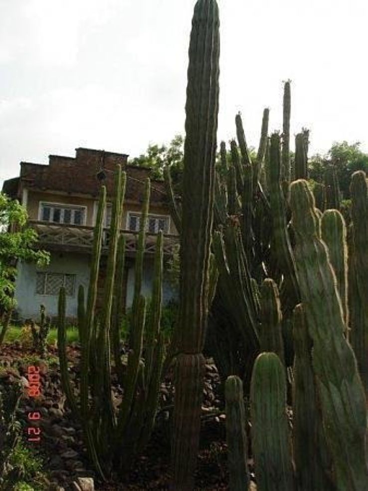 Cactus Garden Trip Packages