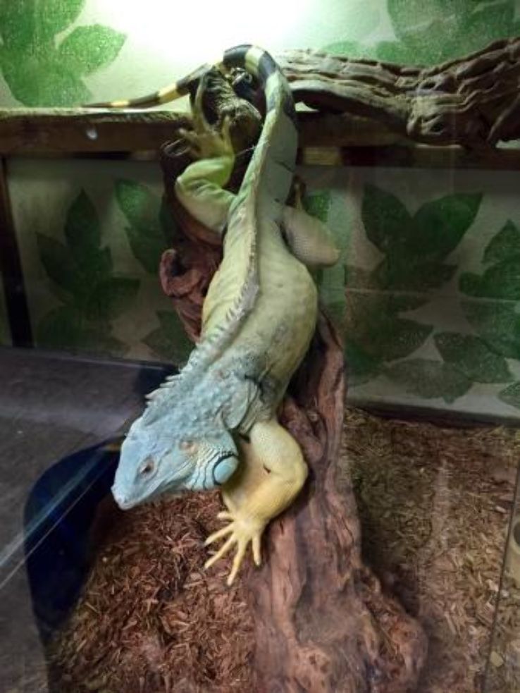 The Serpentarium Trip Packages